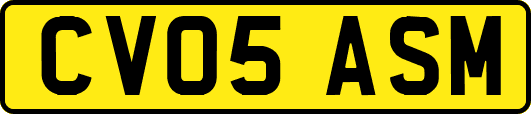 CV05ASM
