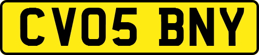 CV05BNY