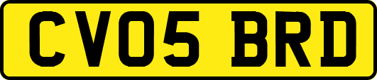 CV05BRD