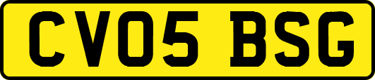 CV05BSG