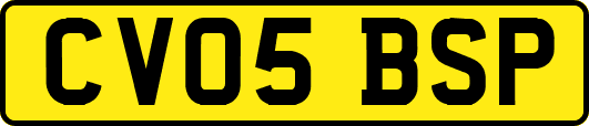CV05BSP