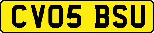 CV05BSU