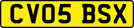 CV05BSX