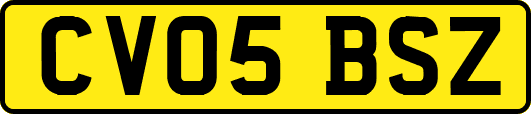 CV05BSZ