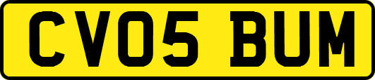 CV05BUM