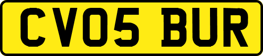 CV05BUR