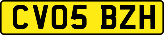 CV05BZH