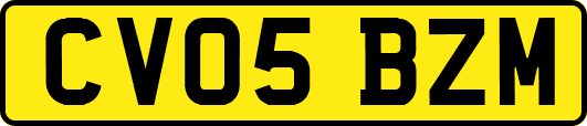 CV05BZM