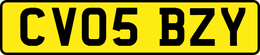 CV05BZY