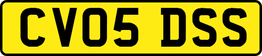 CV05DSS