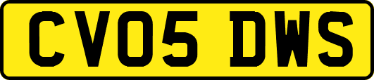 CV05DWS
