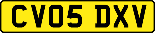 CV05DXV