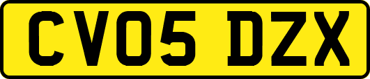 CV05DZX
