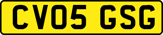 CV05GSG