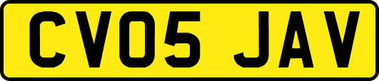 CV05JAV