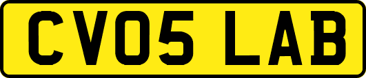 CV05LAB