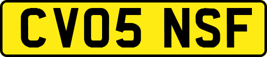CV05NSF