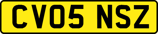 CV05NSZ