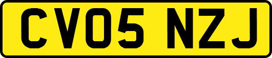 CV05NZJ