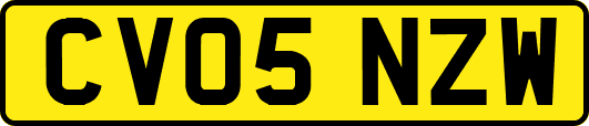 CV05NZW