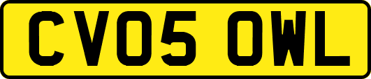 CV05OWL
