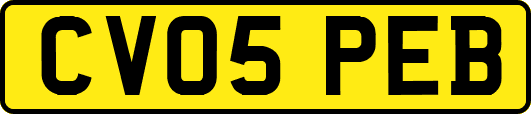 CV05PEB