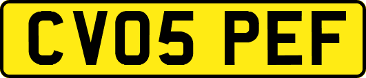 CV05PEF