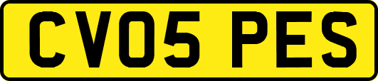 CV05PES