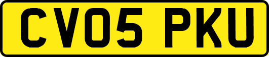 CV05PKU