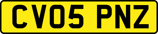 CV05PNZ