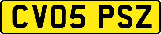 CV05PSZ