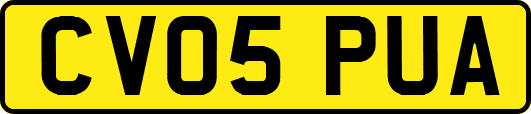 CV05PUA
