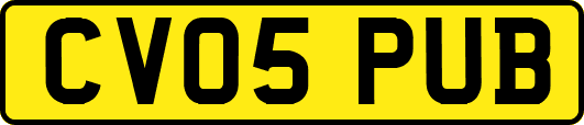 CV05PUB