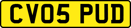 CV05PUD