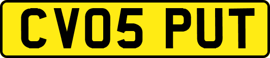 CV05PUT