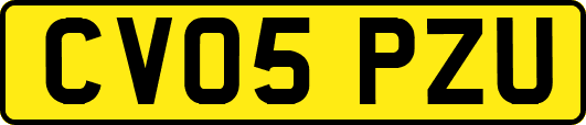 CV05PZU