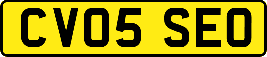 CV05SEO