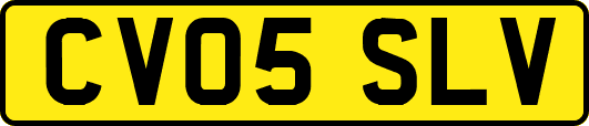 CV05SLV