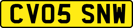 CV05SNW