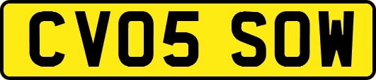 CV05SOW