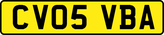 CV05VBA