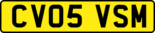 CV05VSM