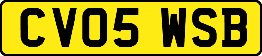 CV05WSB