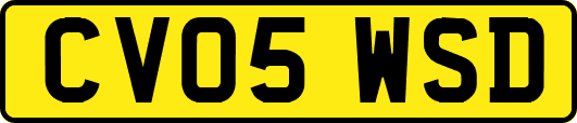 CV05WSD