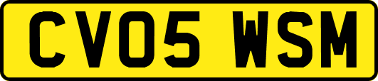 CV05WSM