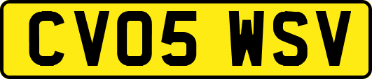 CV05WSV