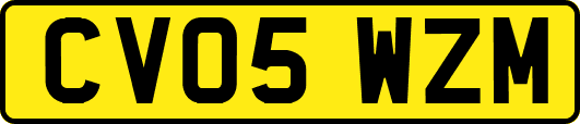 CV05WZM