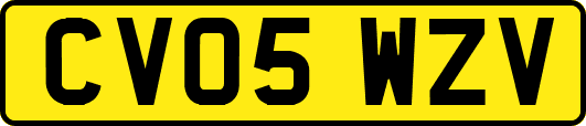CV05WZV