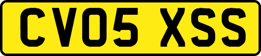 CV05XSS