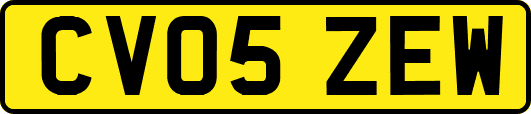 CV05ZEW
